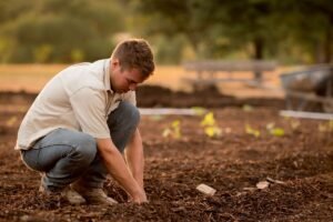 Lire la suite à propos de l’article Les ouvriers agricoles roumains : Une main-d’œuvre essentielle pour l’agriculture en Europe